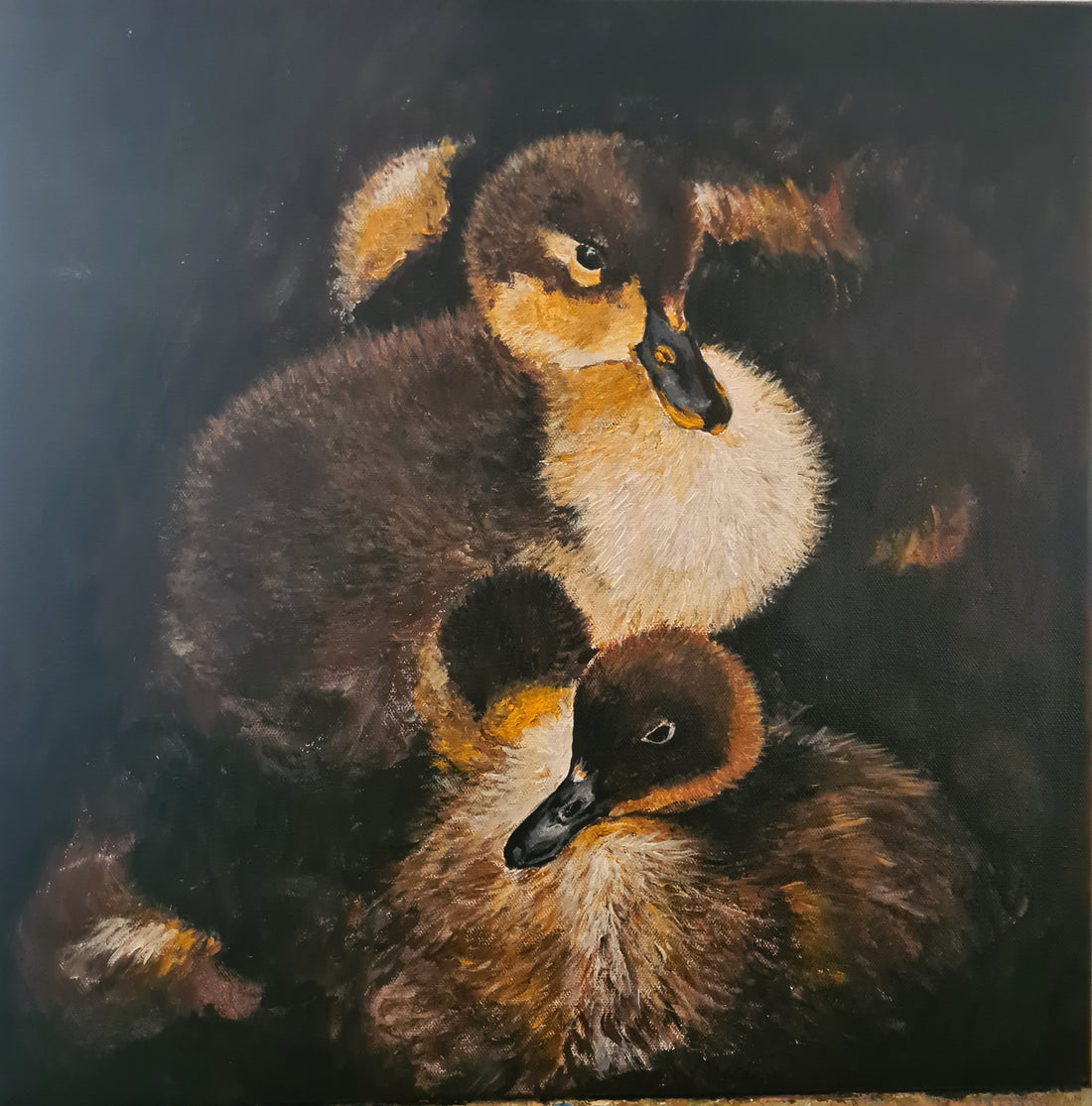 DARLINGS, Original Artwork